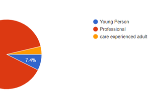 Protected characteristics image 1 participants.png