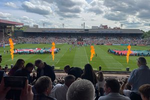 TIGERS 5.jpg