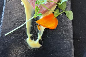 Tigers food 2.jpg