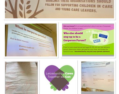 cp collage.jpg