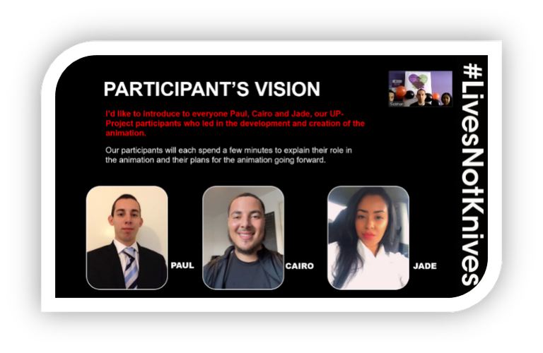 participants vision