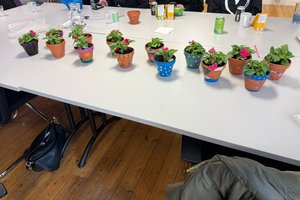 pots with flowers.jpg