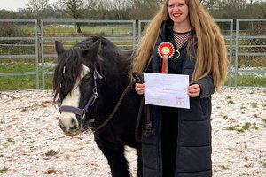 project pony 3.jpeg